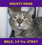 KRUSTY KRAB